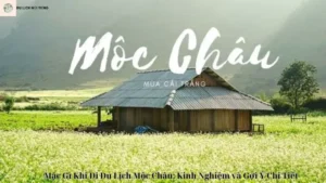 Mặc Gì Khi Đi Du Lịch Mộc Châu: Kinh Nghiệm và Gợi Ý Chi Tiết